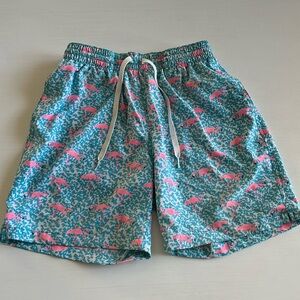 Chubbies Swim Trunks (m, 5.5)